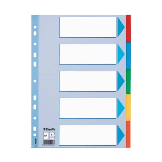 Esselte Register - blanko, Karton, A4, 5 Blatt, weiß, farbige Taben