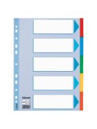 Esselte Register - blanko, Karton, A4, 5 Blatt, weiß, farbige Taben