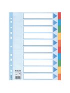 Esselte Register - blanko, Karton, A4, 10 Blatt, weiß, farbige Taben