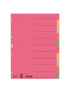 Leitz 4359 Register - Karton, blanko, A4, 10 Blatt, farbig