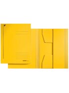 Leitz 3924 Jurismappe - A4, Pendarec-Karton 430g, gelb