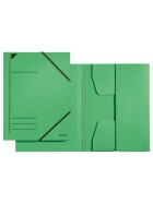 Leitz 3981 Eckspannermappe - A4, 250 Blatt, Pendarec-Karton (RC), grün