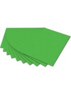 Folia Tonpapier - 50 x 70 cm, grasgrün