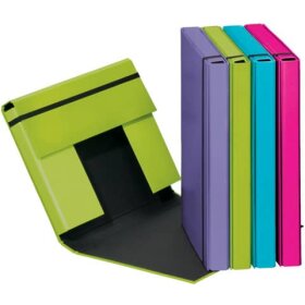 Pagna® Heftbox Trend - A4, PP, 4 farbig sortiert,...