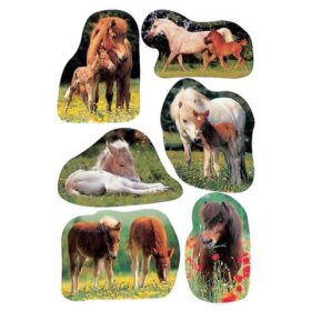 Herma 5443 Sticker DECOR Pferdefotos