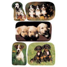 Herma 3528 Sticker DECOR Hundewelpenfotos