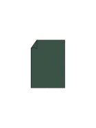 Rössler Papier Coloretti Briefbogen - A4, 165g, 10 Blatt, forest
