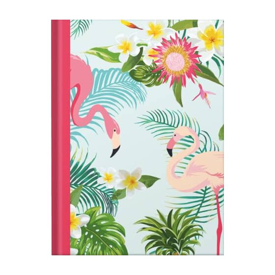 RNK Verlag Notizbuch Flamingo pink - A5, Pünktchenlineatur, 96 Blatt
