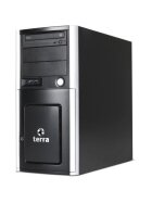 TERRA SERVER 3030 G5 E-2324G/16/2x960/C/WS2022E