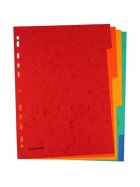 DONAU Register - blanko, Karton, A4, 5 Blatt, 5-farbig