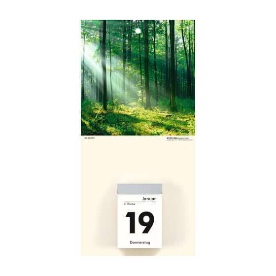 Zettler Kalenderrückwand Gebirge - 14,5 x 29,5 cm, 4-fach sortiert