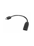 Lenovo Mini-DisplayPort zu HDMI Adapter 20 cm