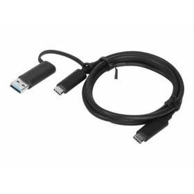 Lenovo Hybrid USB-C auf USB-A Kabel