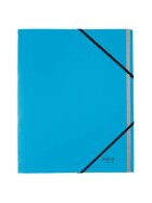 Leitz 3915 Ordnungsmappe Recycle - A4, 12 Fächer, Karton (RC), klimaneutral, blau