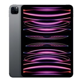 iPad Pro 11, Wi-Fi + Cellular, 1TB, spacegrau, 4.Gen, 11" Liquid Retina Display, USB-C Anschluss