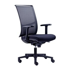 Bürodrehstuhl ZED, Armlehnen höhenverstellbar, Rückenlehne netzbespannt schwarz, Sitz gepolstert schwarz, Fußkreuz Kunststoff schwarz