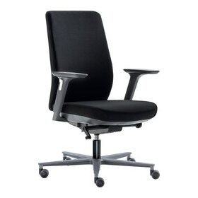 Bürodrehstuhl Business, Armlehnen 3-dimensional verstellbar, Rückenlehne/Sitz gepolstert grau, Fußkreuz Alu