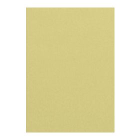 Farbiges Papier DIN A4, 120g/qm, 1 Packung = 50 Blatt, chamois