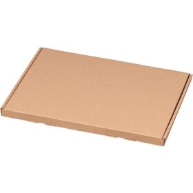 Großbriefkarton, DIN A4, portooptimiert, Aussenmaß: 350 x 250 x 20 mm, braun