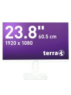 TERRA LCD/LED 2465W PV white USB-C/DP/HDMI GREENLINE PLUS